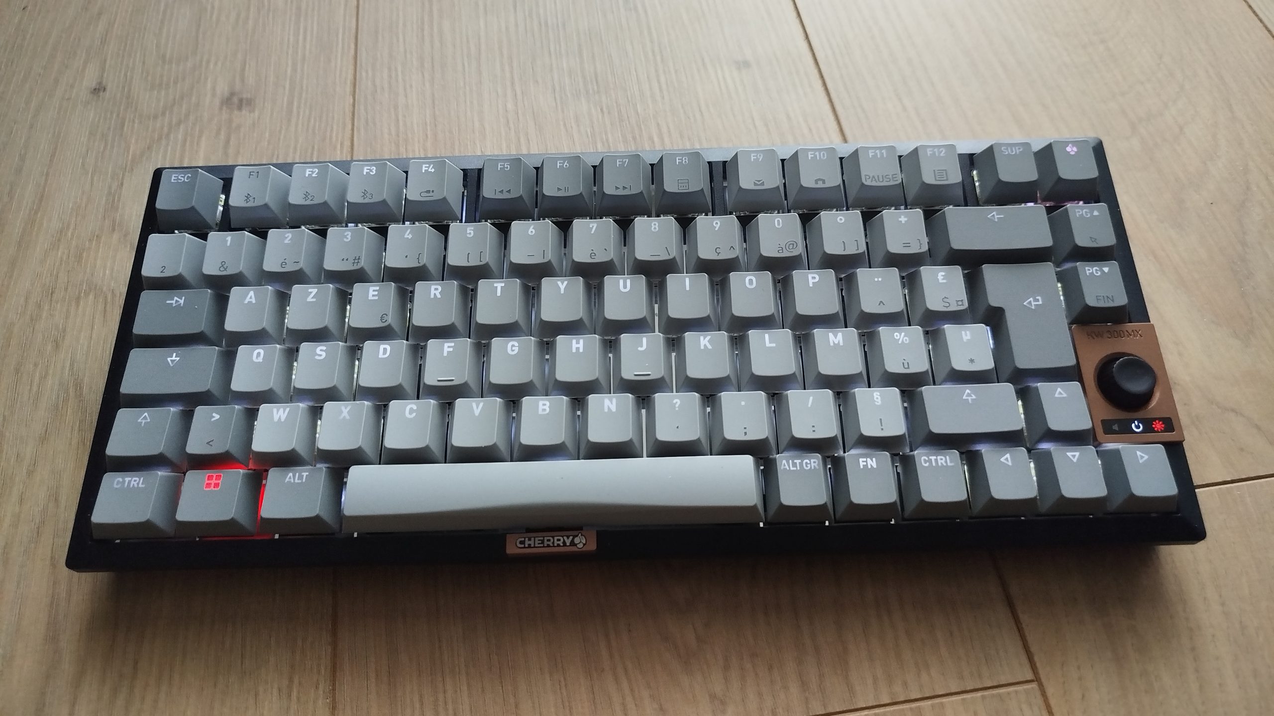 CHERRY KW 300W MX (2)
