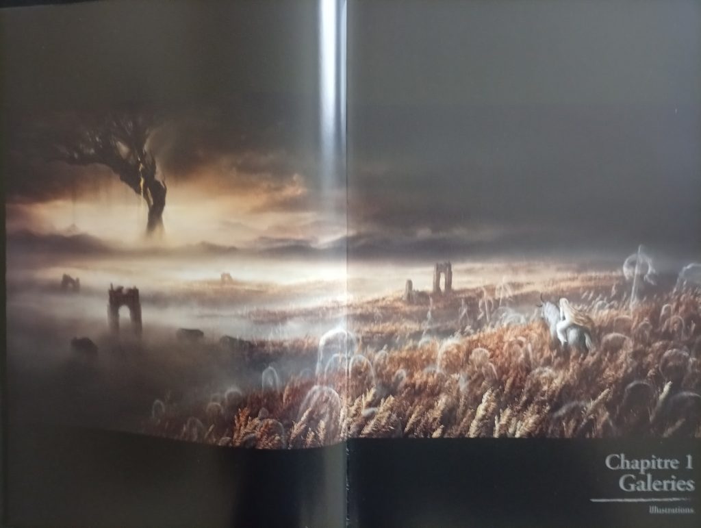 L'art de Elden Ring - Shadow of the Erdtree 