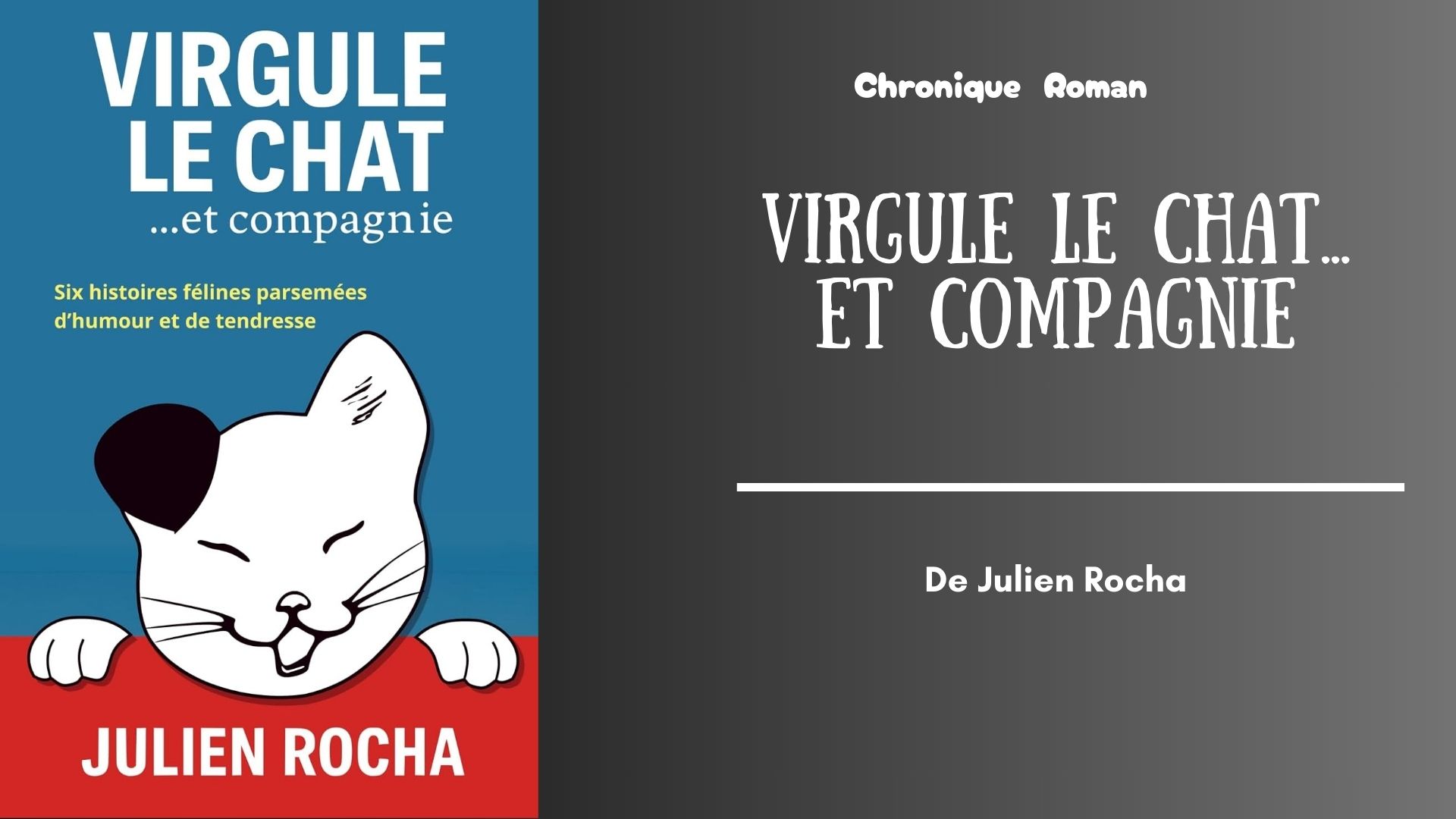 Virgule Le Chat... Et compagnie - mise en avant