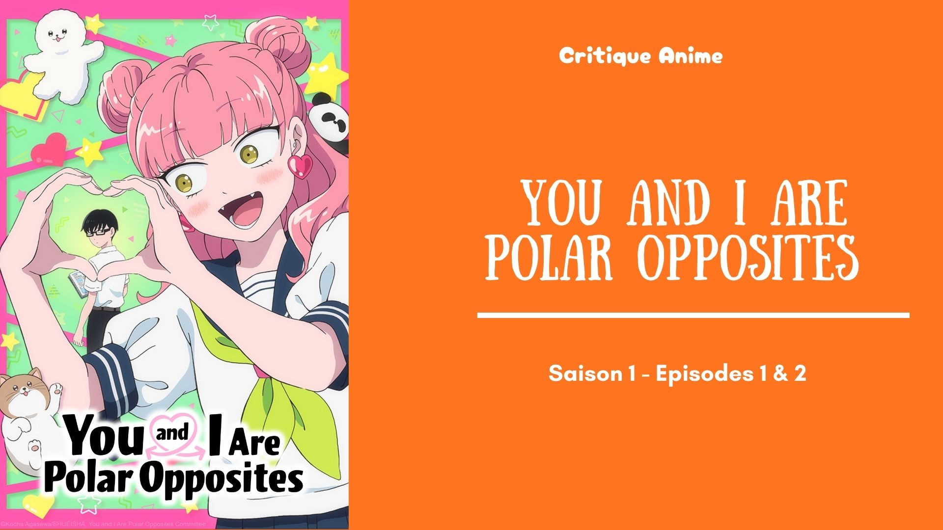 You and I Are Polar Opposites