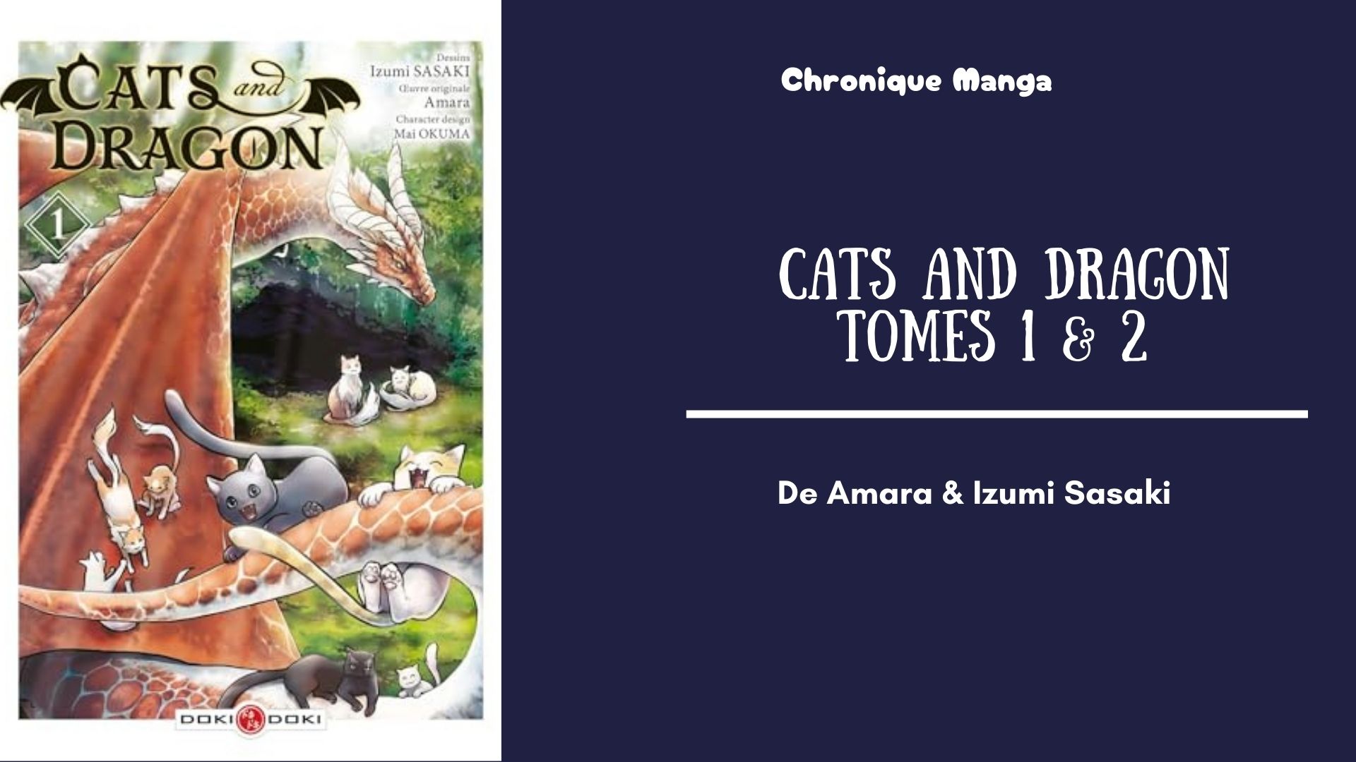 Cats and Dragon tome 1 - mise en avant