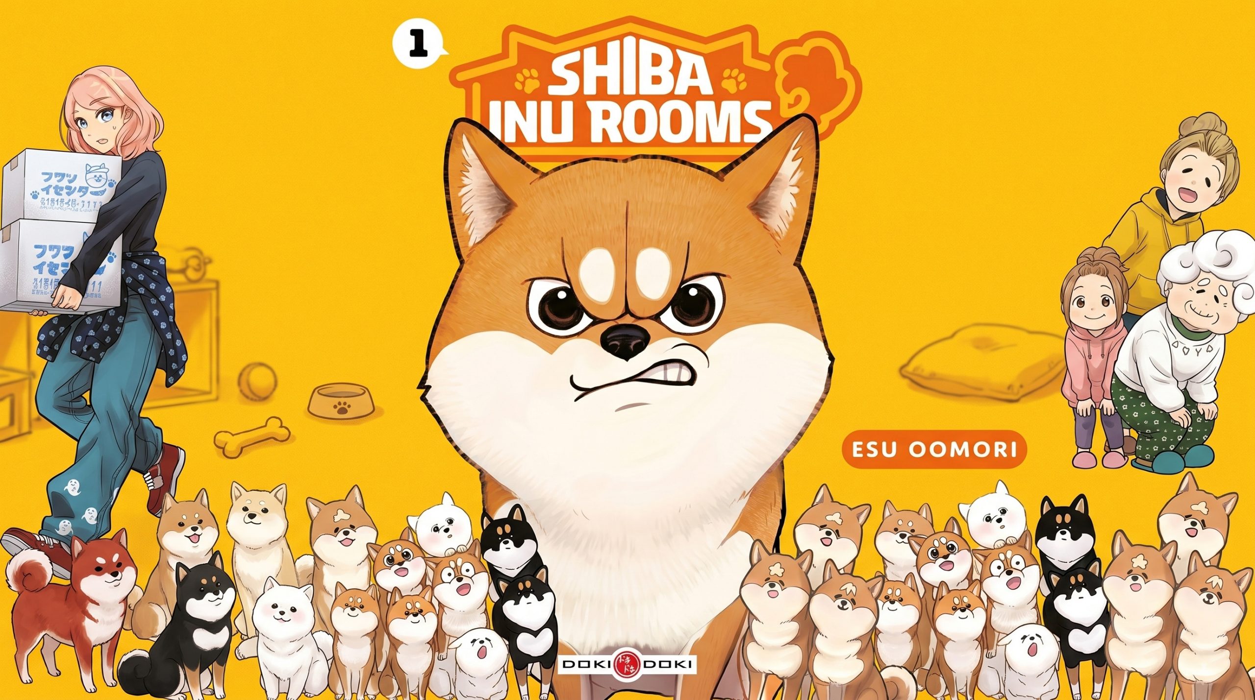 shiba inu room mise en avant