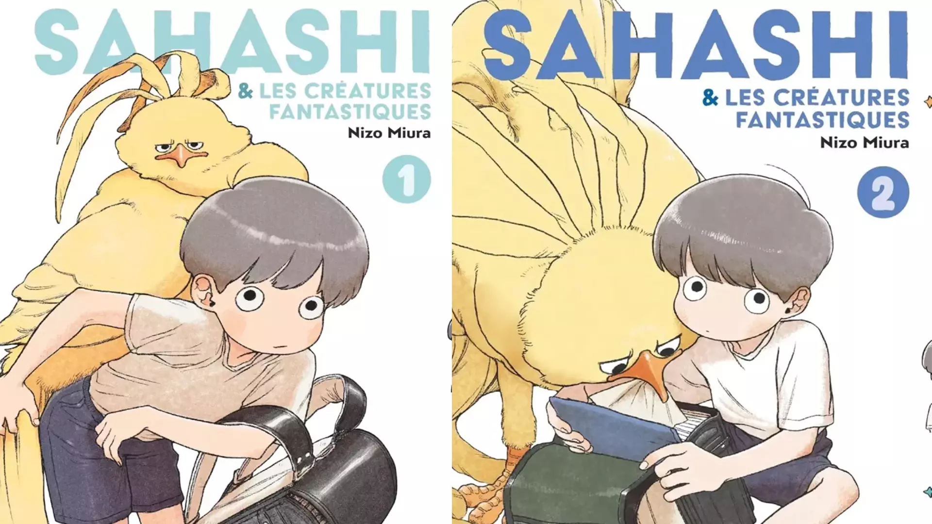 sahashi mise en avant
