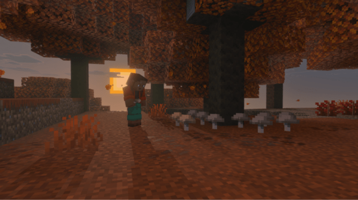 Minecraft2
