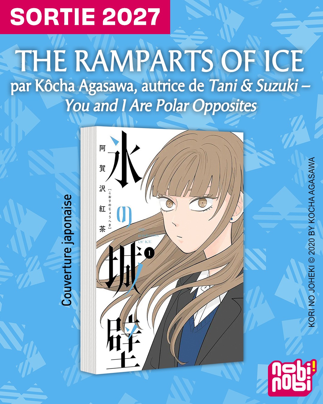 Ramparts of ice