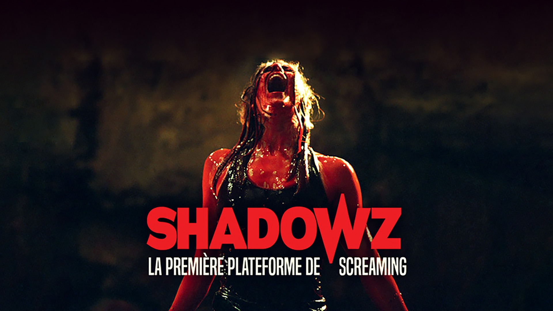 Shadowz - mise en avant