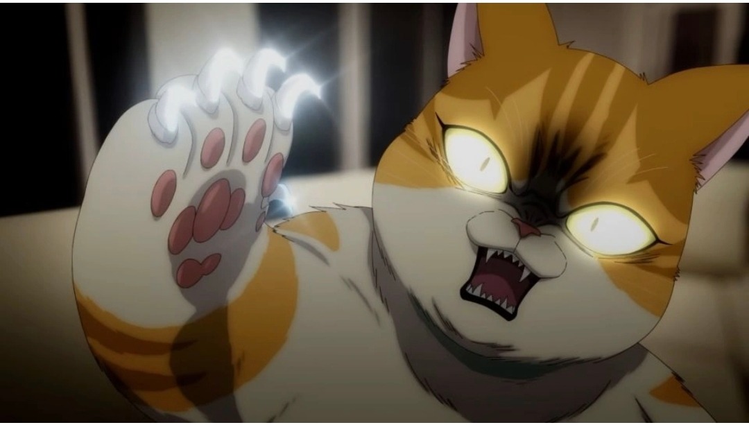 Le chat le plus dangereux du monde débarque en anime : premier trailer pour Eleceed