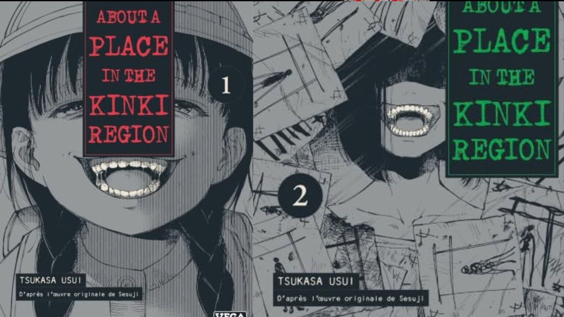 ABOUT A PLACE IN THE KINKI REGION - mise en avant