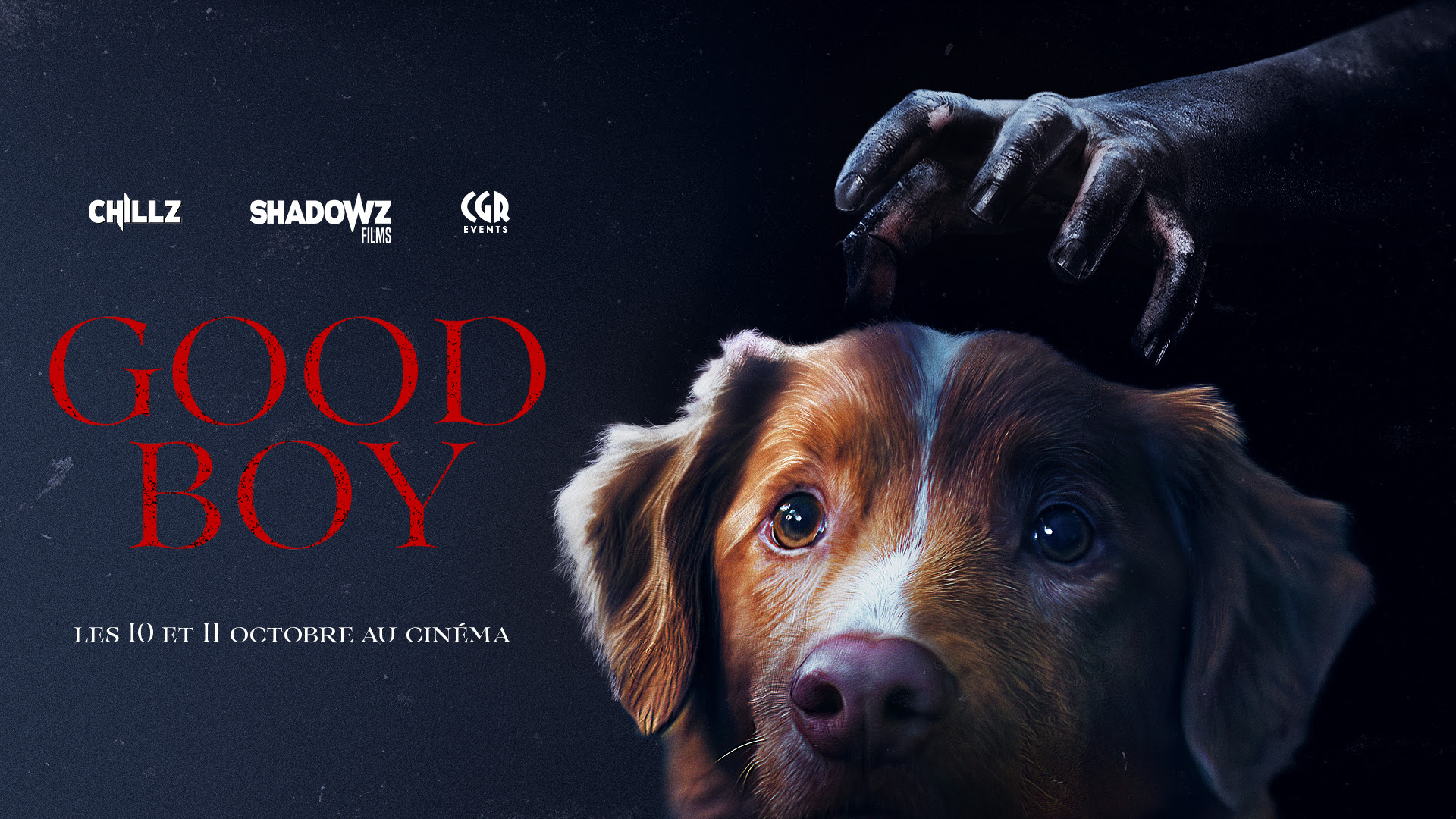 Good Boy - mise en avant