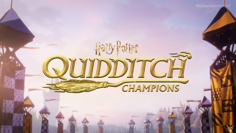 Harry Potter : Champions de Quidditch
